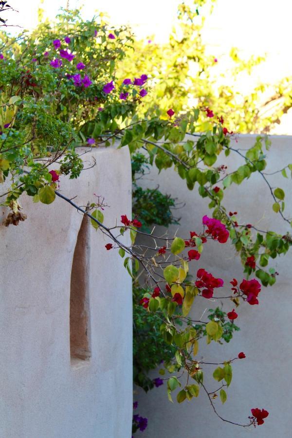 Riad Agnes Et Zohra Μαρακές Εξωτερικό φωτογραφία